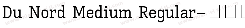 Du Nord Medium Regular字体转换